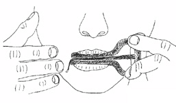 Image de la position de la guimbarde dans la bouche