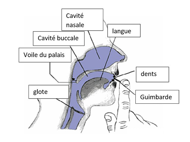 La guimbarde - l'instrument de musique